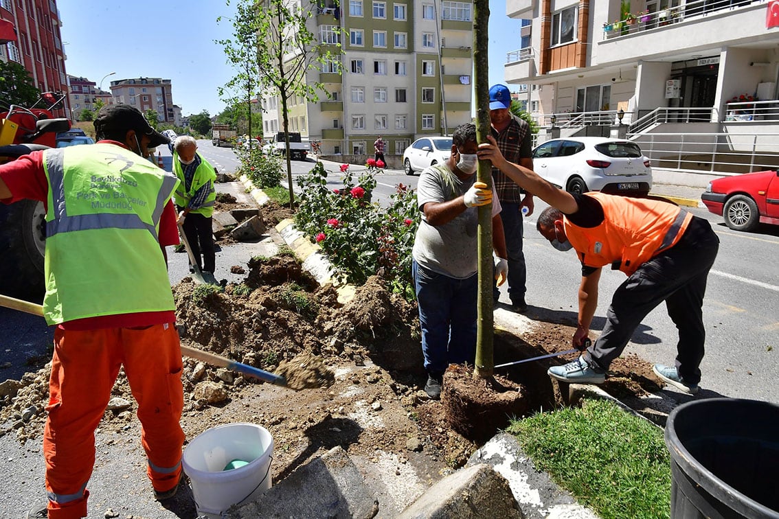 Vatandaş seçti,  Belediye dikti