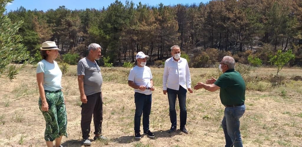 “Gelibolu ormanlarında yangının ana sebebi tahıl tarlalarıdır”