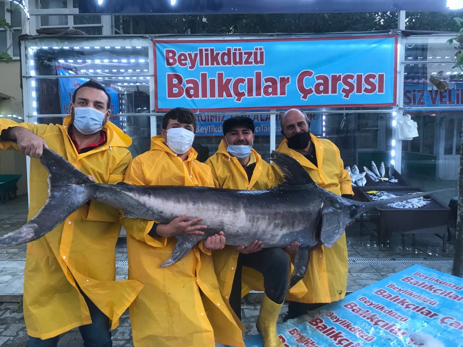 MARMARA DENİZİ AÇIKLARINDA DEVASA KILIÇ BALIĞI YAKALANDI